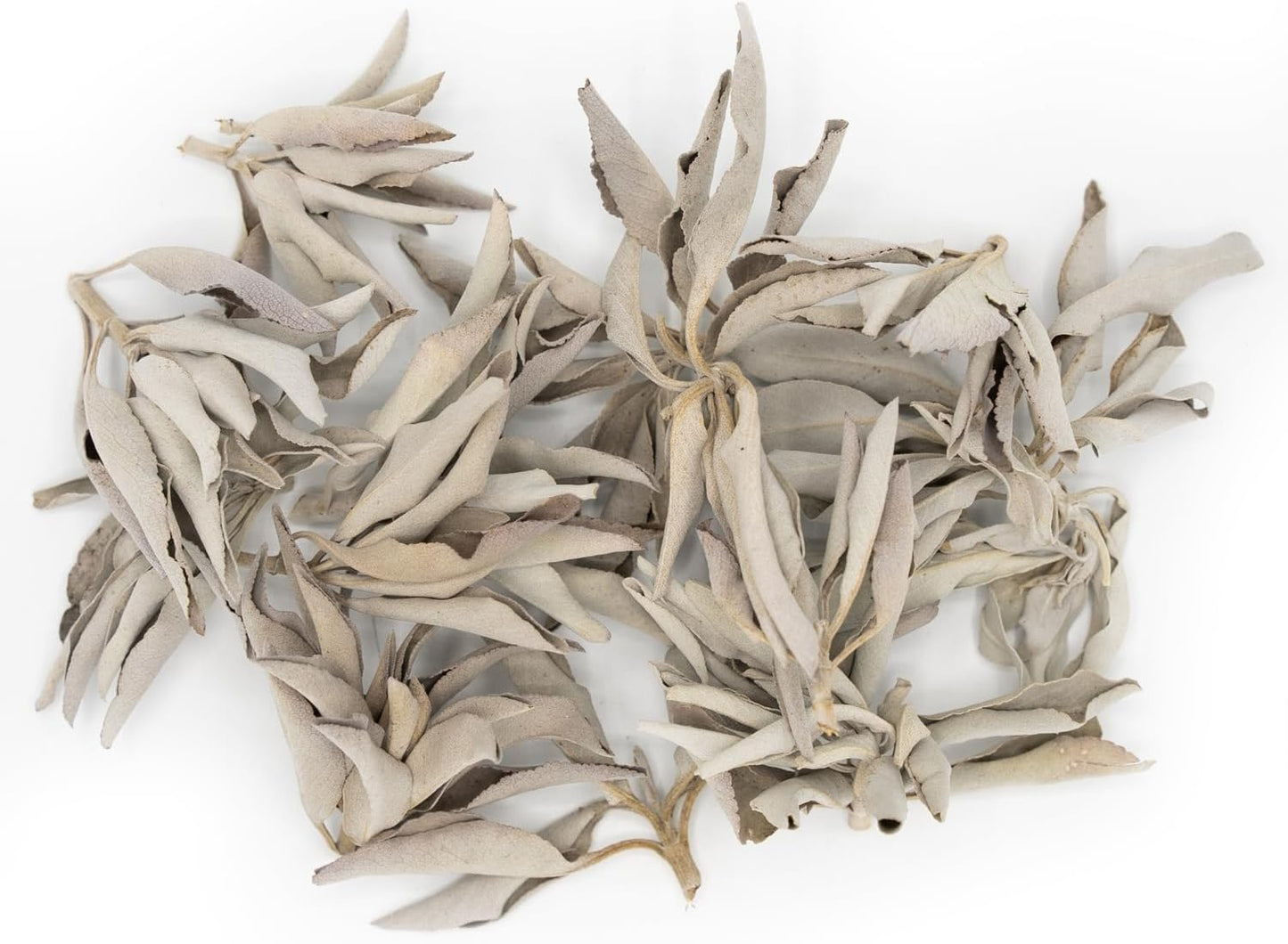 California White Sage
