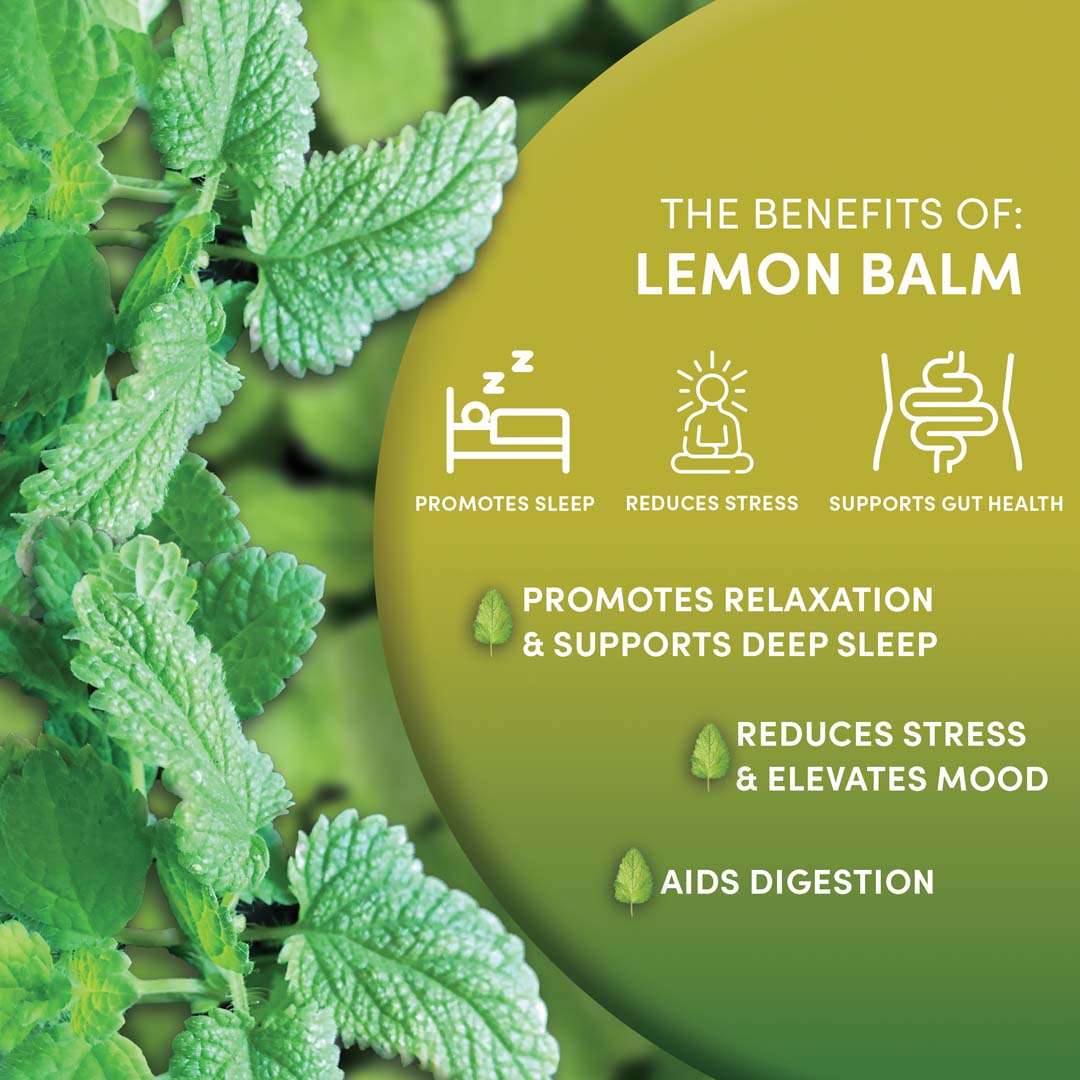 Organic Lemon Balm 6 Ounce
