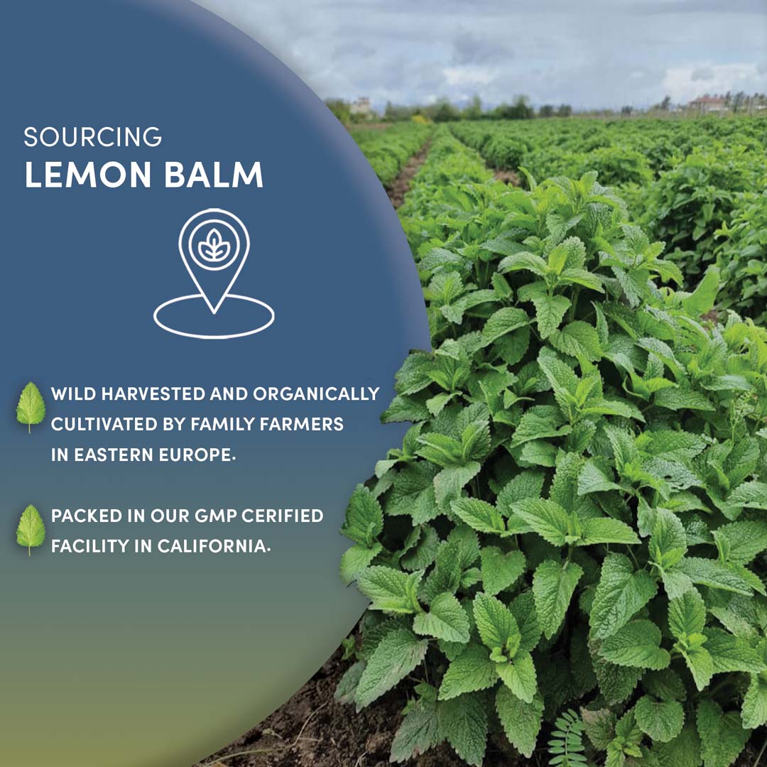 Organic Lemon Balm 6 Ounce