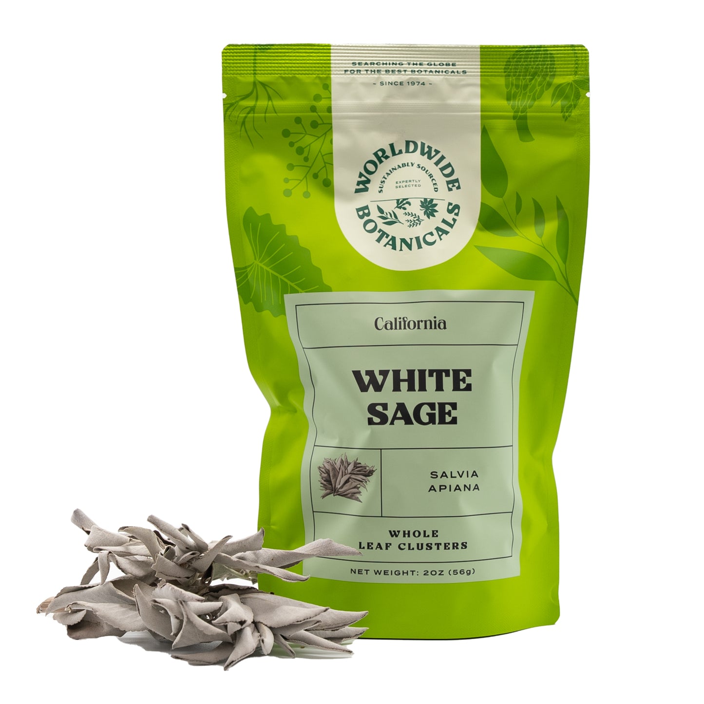 California White Sage