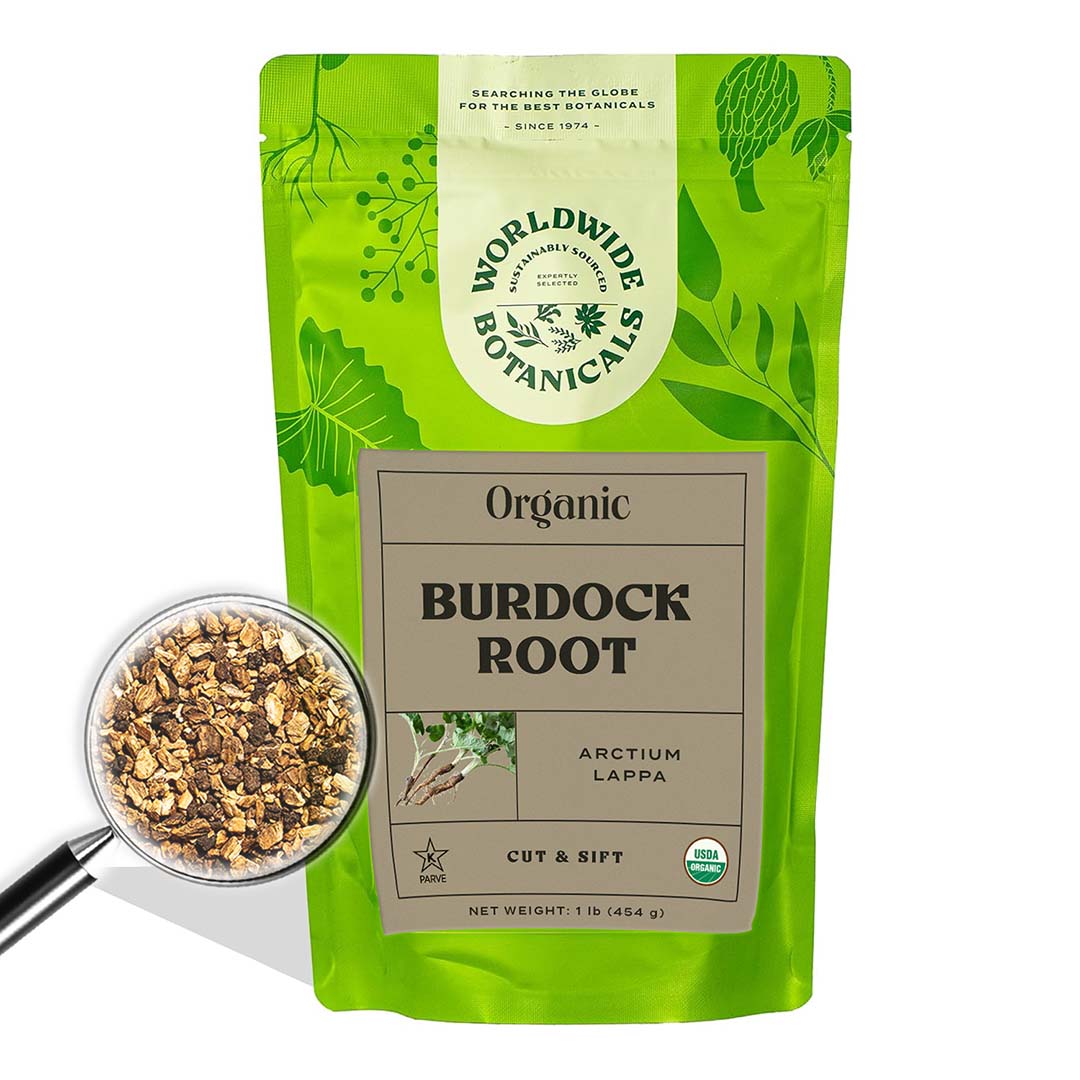 A green bag filled with Burdock Root and a magnifying glass showing the ground up root.